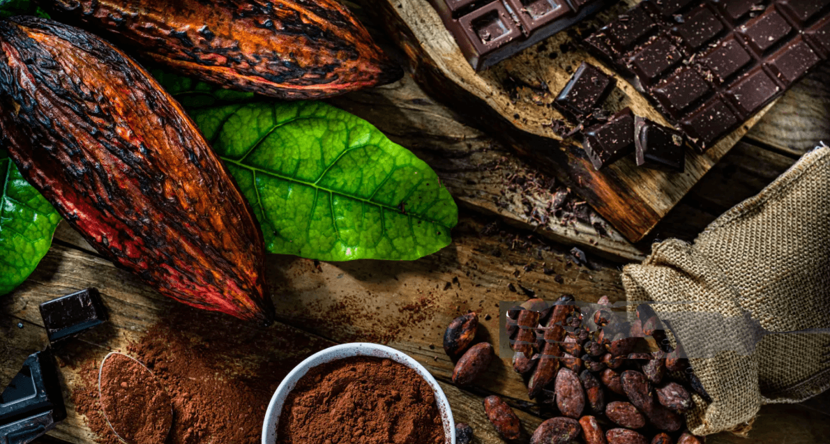 cacao cacao