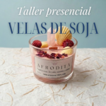 Carteles cursos web la Maga (10)